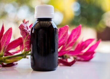 The Power of Balance: Finding Harmony in Everyday Life